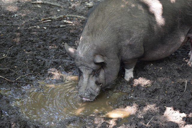 整体掌控的 整体掌控的